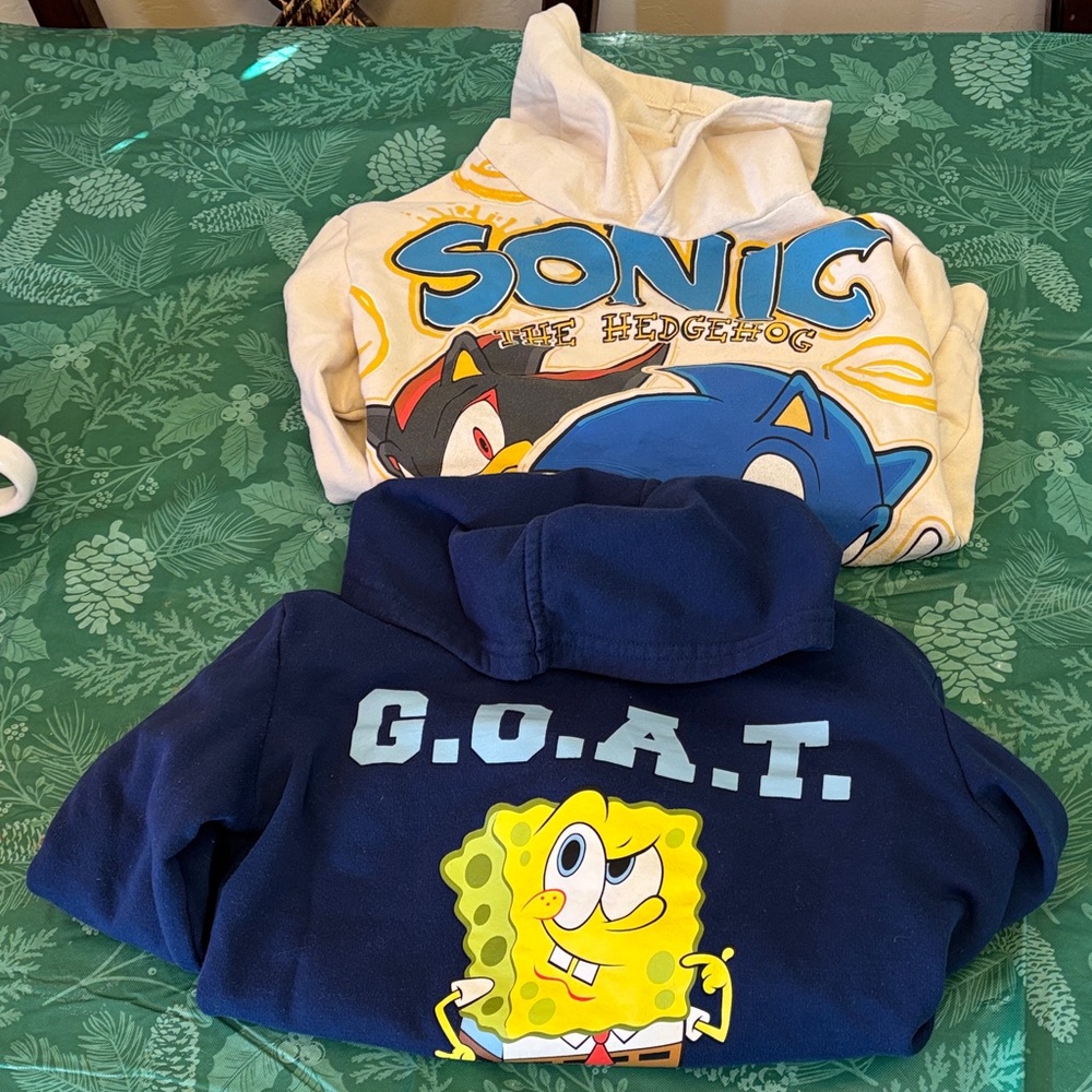 Character Hoodies X 2! Youth 10/12